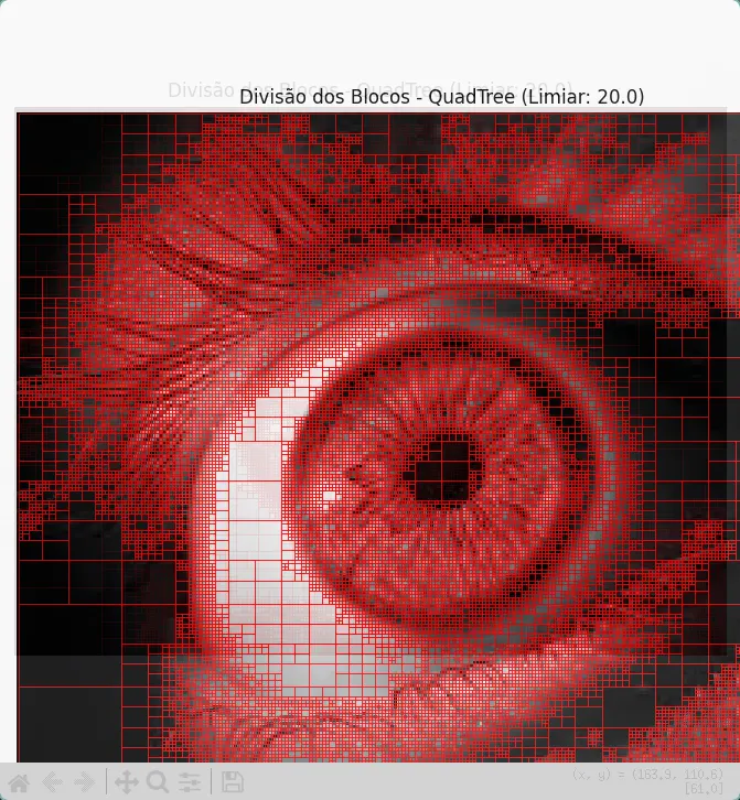 Quadtree Compressor — captura do projeto